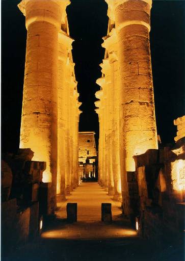 Luxor Temple   Pillars at Night
